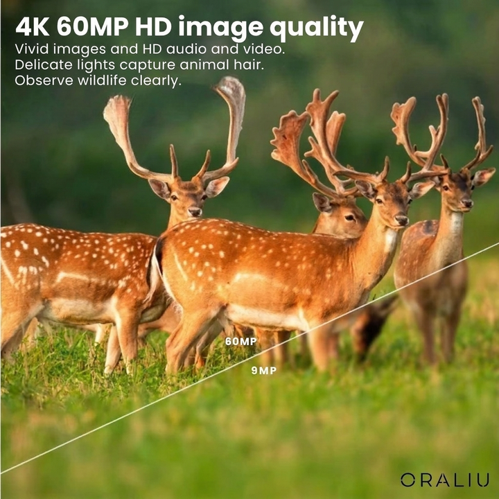 Compact 4K Wildlife Camera with 60MP Sensor and Mobile App