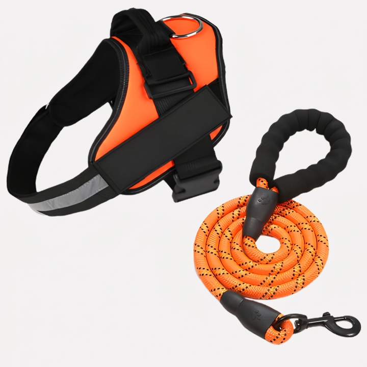 Anti‑Pull Dog Harness